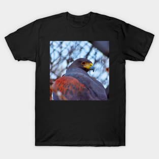 The Hawk T-Shirt